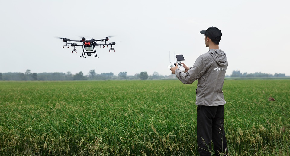 Flying a drone over a field