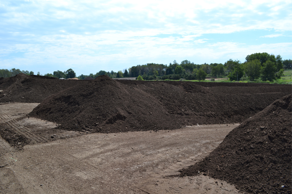 Compost Pile