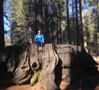 Photo of Sydney S at her Gallo internship in California