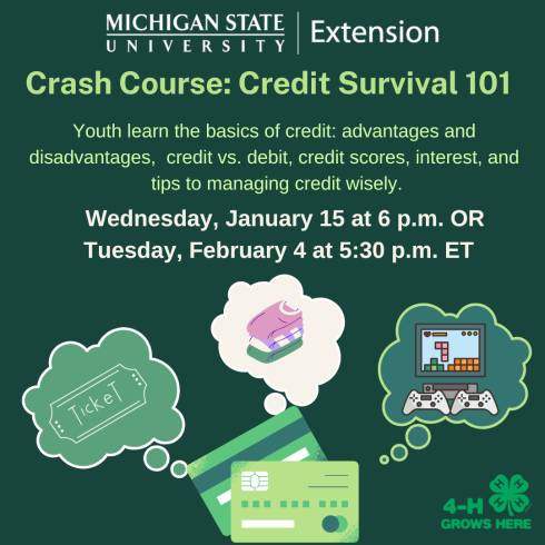 Credit Cards with 3 idea bubbles: ticket, clothing, games. Both the MSU Extension logos and 4-H grows here are included