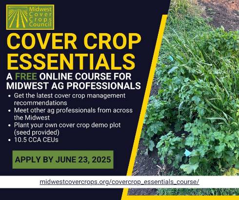 Cover crops essentials flier