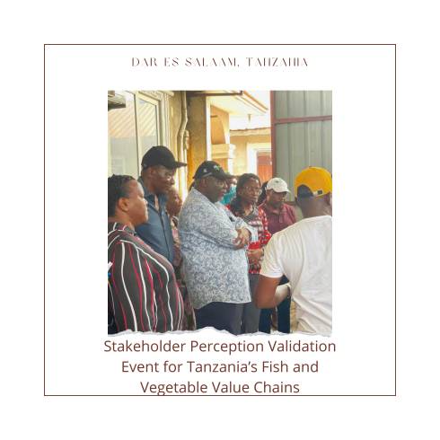 Stakeholder Perception Validation Event for Tanzania’s Fish and Vegetable Value Chains