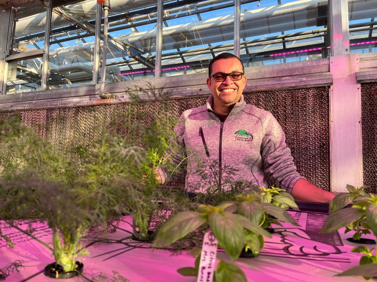 Roberto Lopez standing and smiling inside a greenhouse. In front of him are trays of leafy green plants growing under purple grow lights, with sunlight streaming through the glass ceiling and metal framework above.