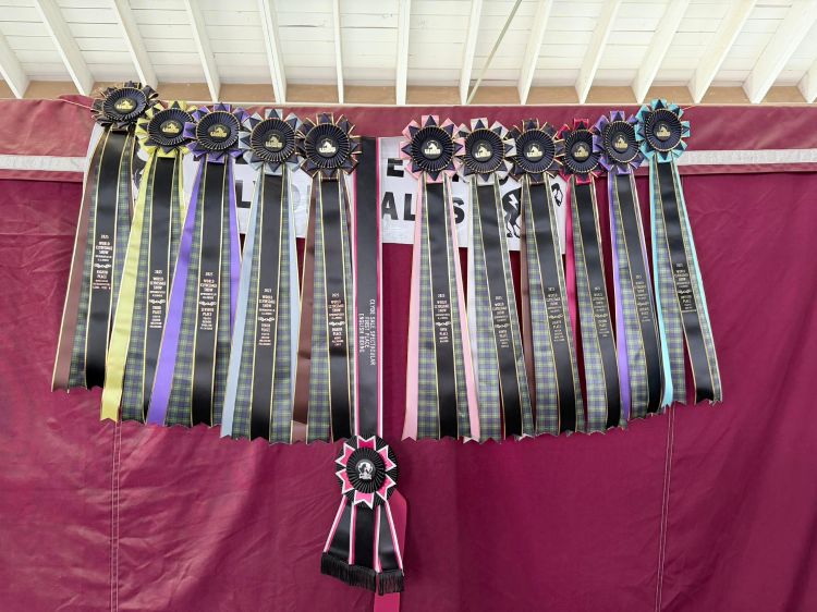 A number of ribbons lined up on display.