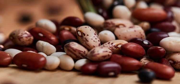 A mix of different colored dry beans.