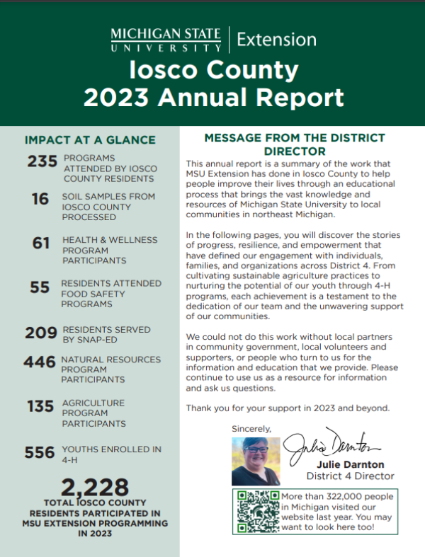 A photo of the first page of the report.