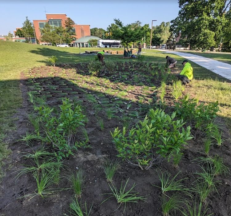 A garden planted in front of a tall brown building.