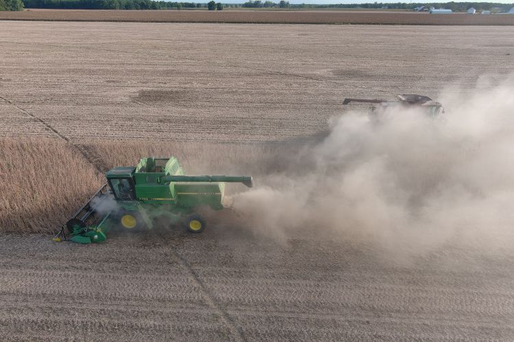 Two combine harvesters work in a dusty soybean field during harvest. The green combine in the foreground cuts through standing soybeans while another combine operates behind it, surrounded by clouds of dust under a clear sky.