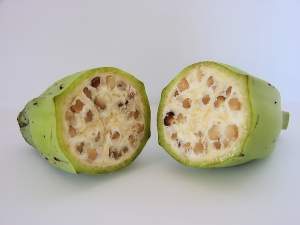 Seedless fruit is not something new