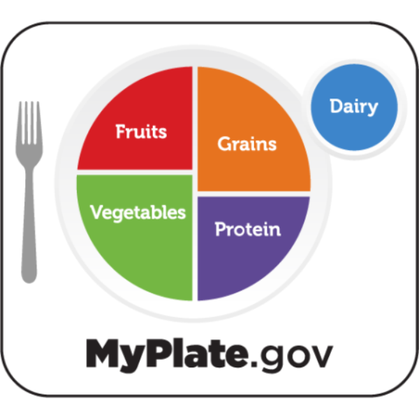 A plate broken into 4 sections including fruits, vegetables, grains, and protein with a circle labeled dairy on the side