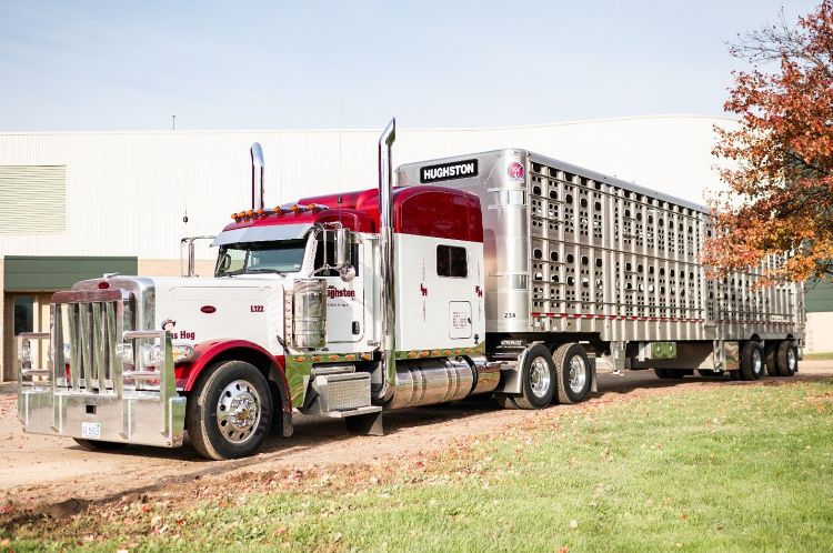 large red and white semi attached to a silver livestock trailer parked in a dirt driveway
