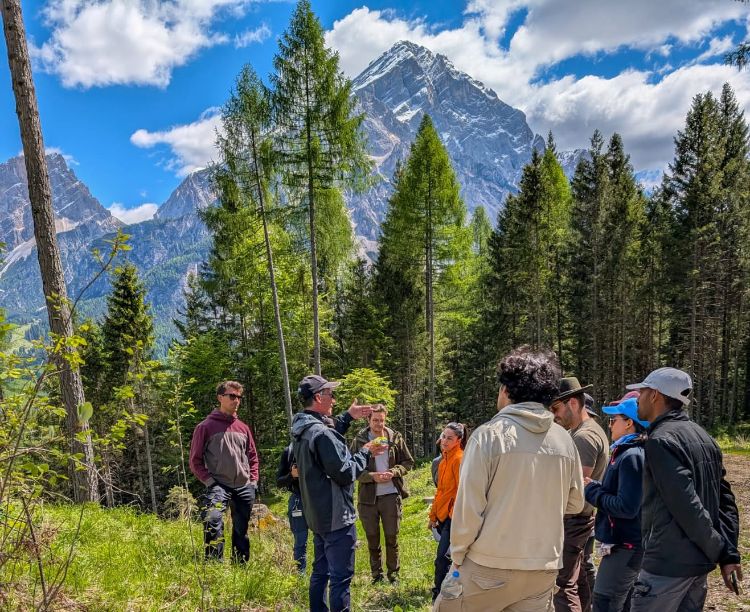 Professor with students with vibrant green trees and lush mountains in the background