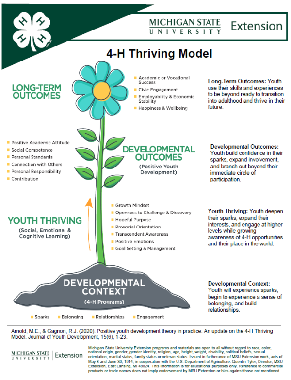 Thumbnail of the resource.