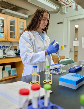 Image of a CANR student performing research in a laboratory.