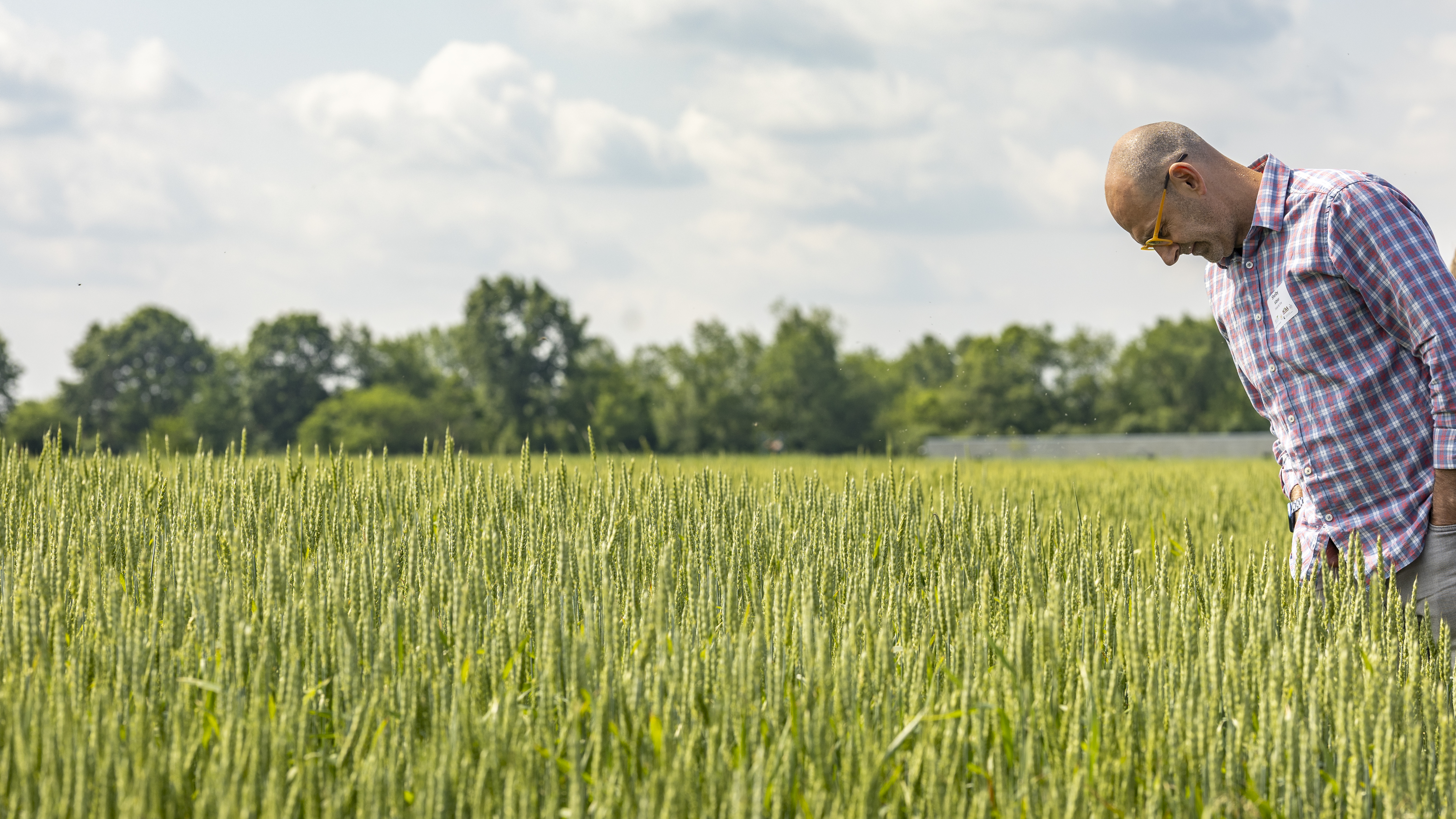 20250611_FoodGrainsFieldDay-18.jpg