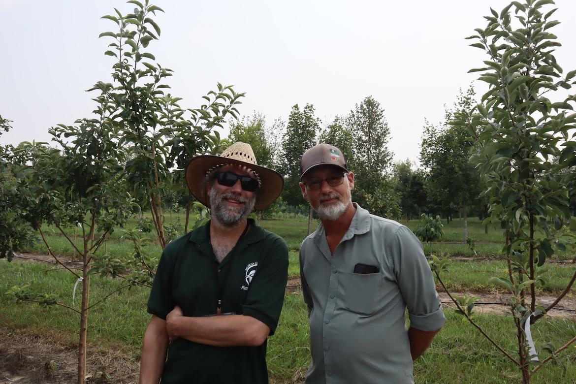 GregInOrchard.jpeg