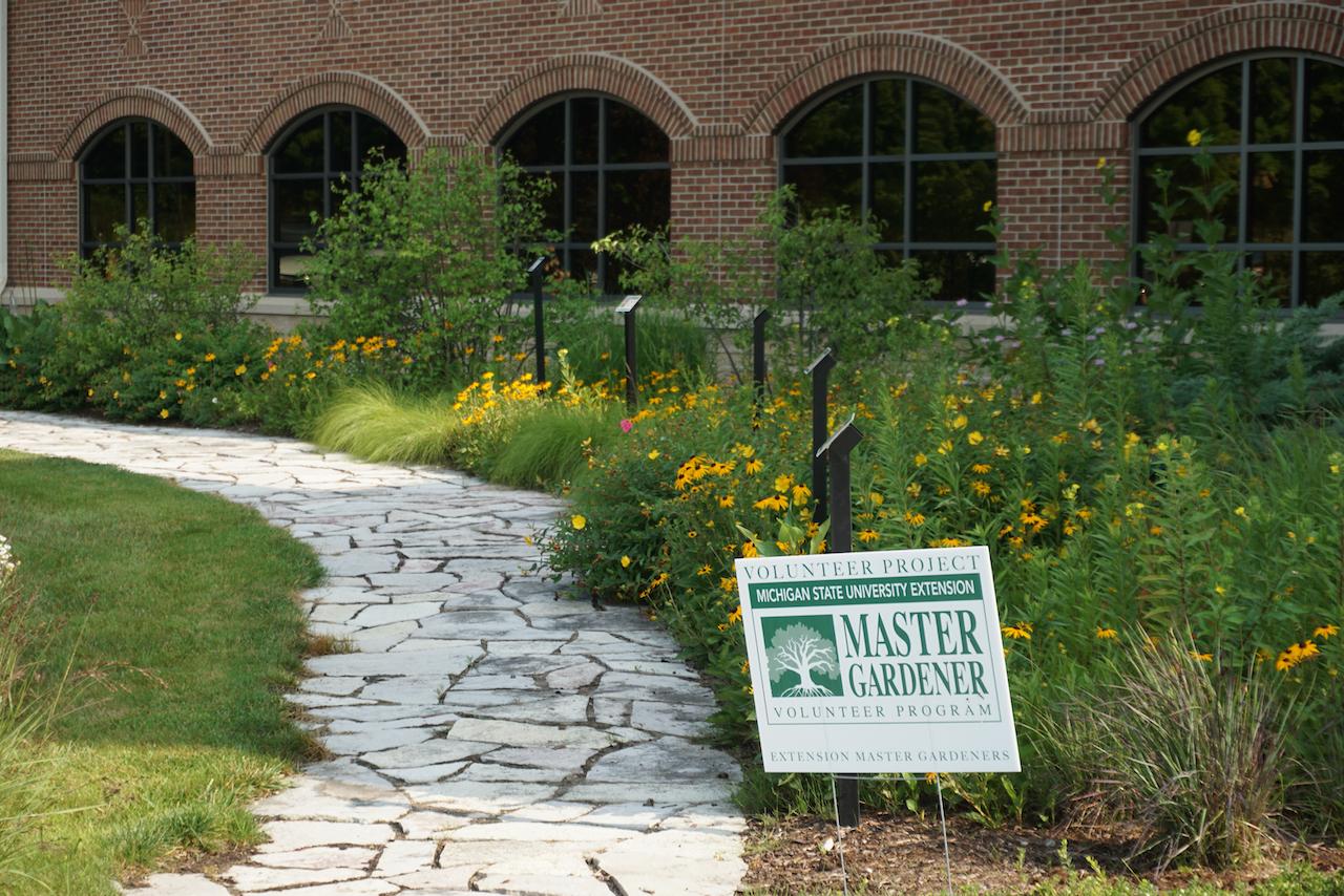 A native plant garden.