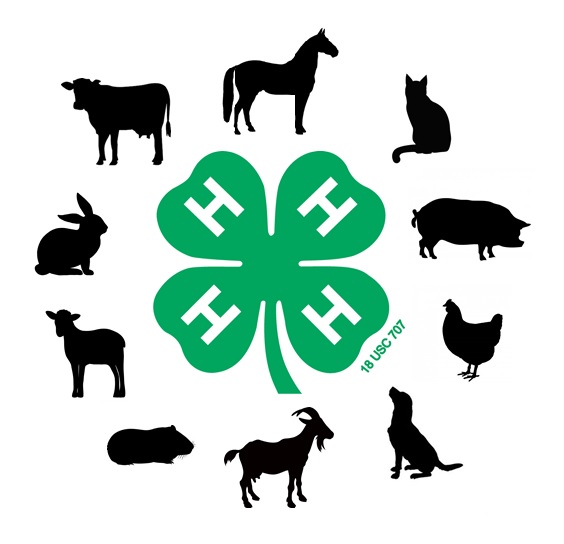 4-H+Animals+Logo.jpg