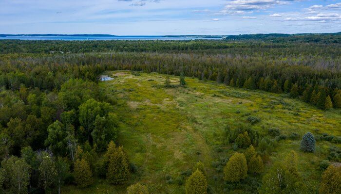 Mitchell-Creek-Meadow_Drone_Aerial_Summer_Noah-Jurik_2019-11-700x400.jpg