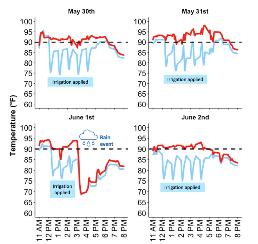 A series of graphs. 