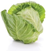 Cabbage.jpg