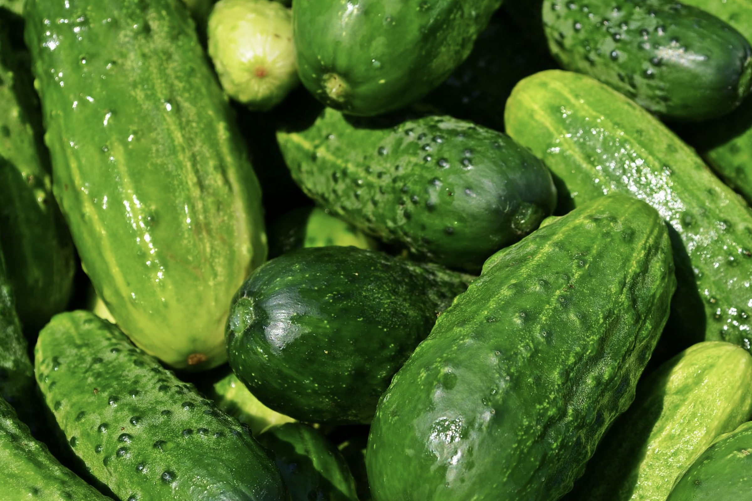 Cucumbers