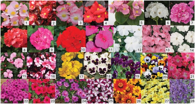 25 different plant cultivars.