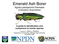 EAB web