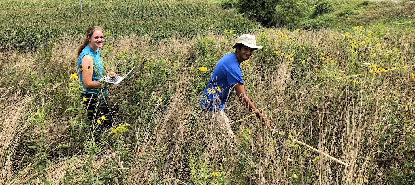 Students collecting data in wildflowers