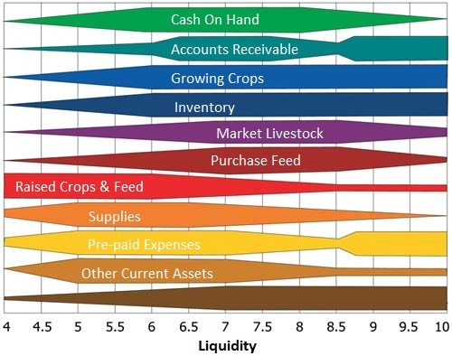 Liquidity(2)