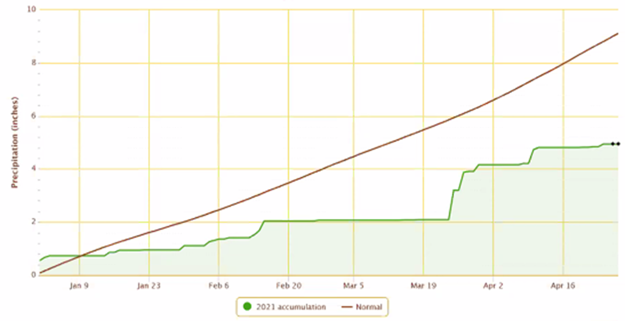 Accumulated precipitation