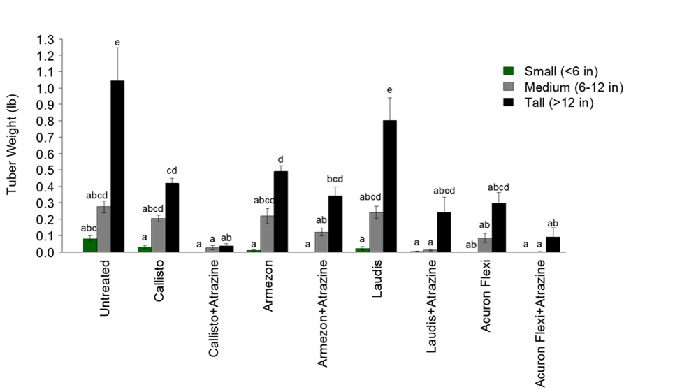 Figure 2 graph