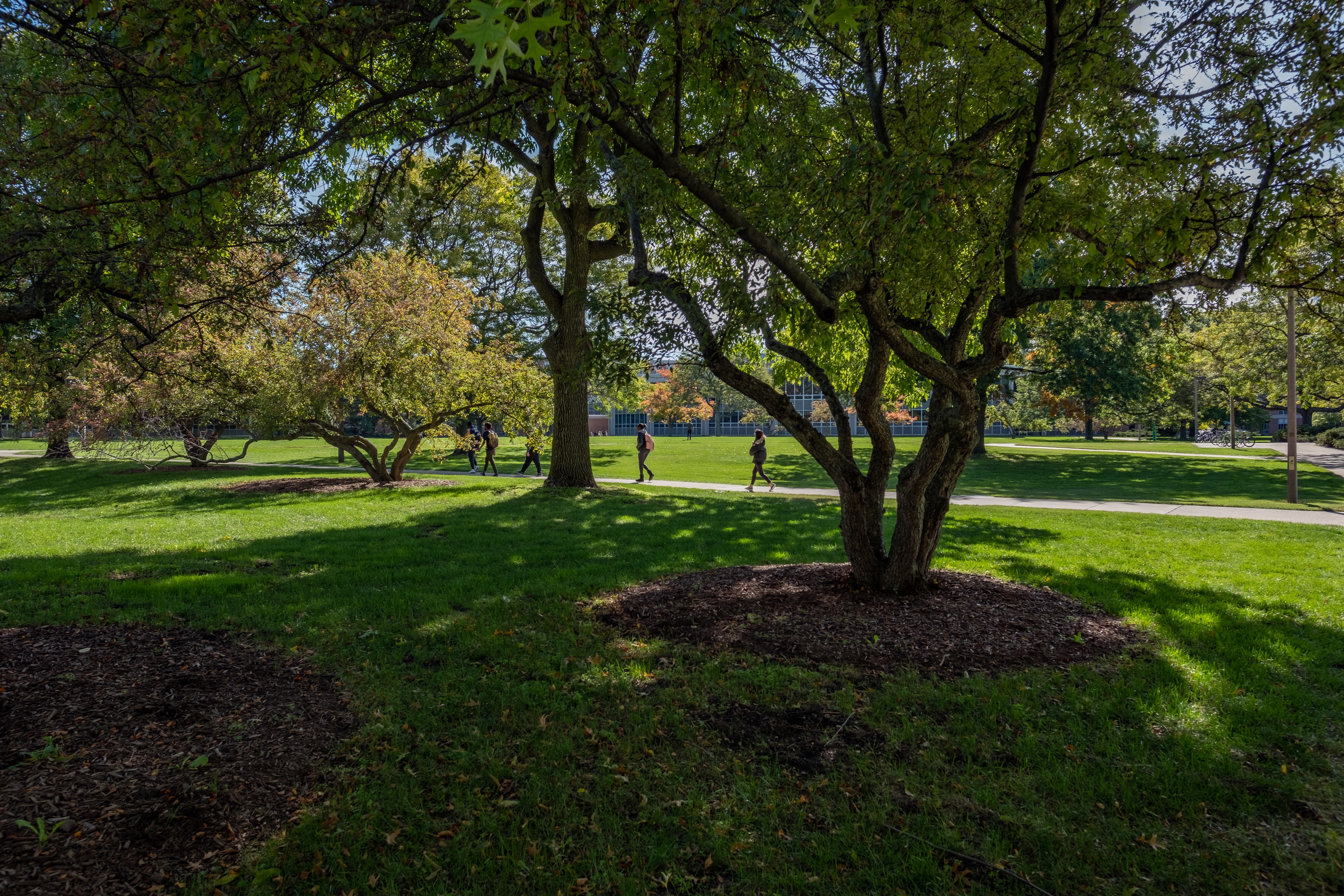 MSU-Courtyard-Akers-Hubbard