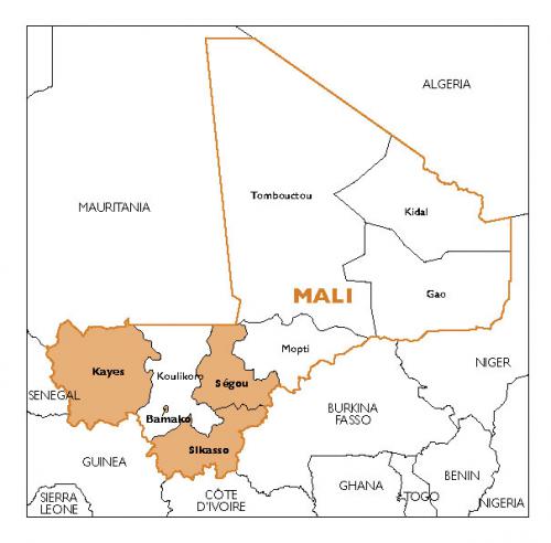 mali-v1