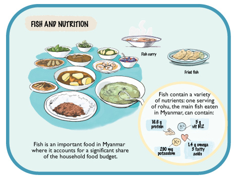 FishNutritionalValue-vignette