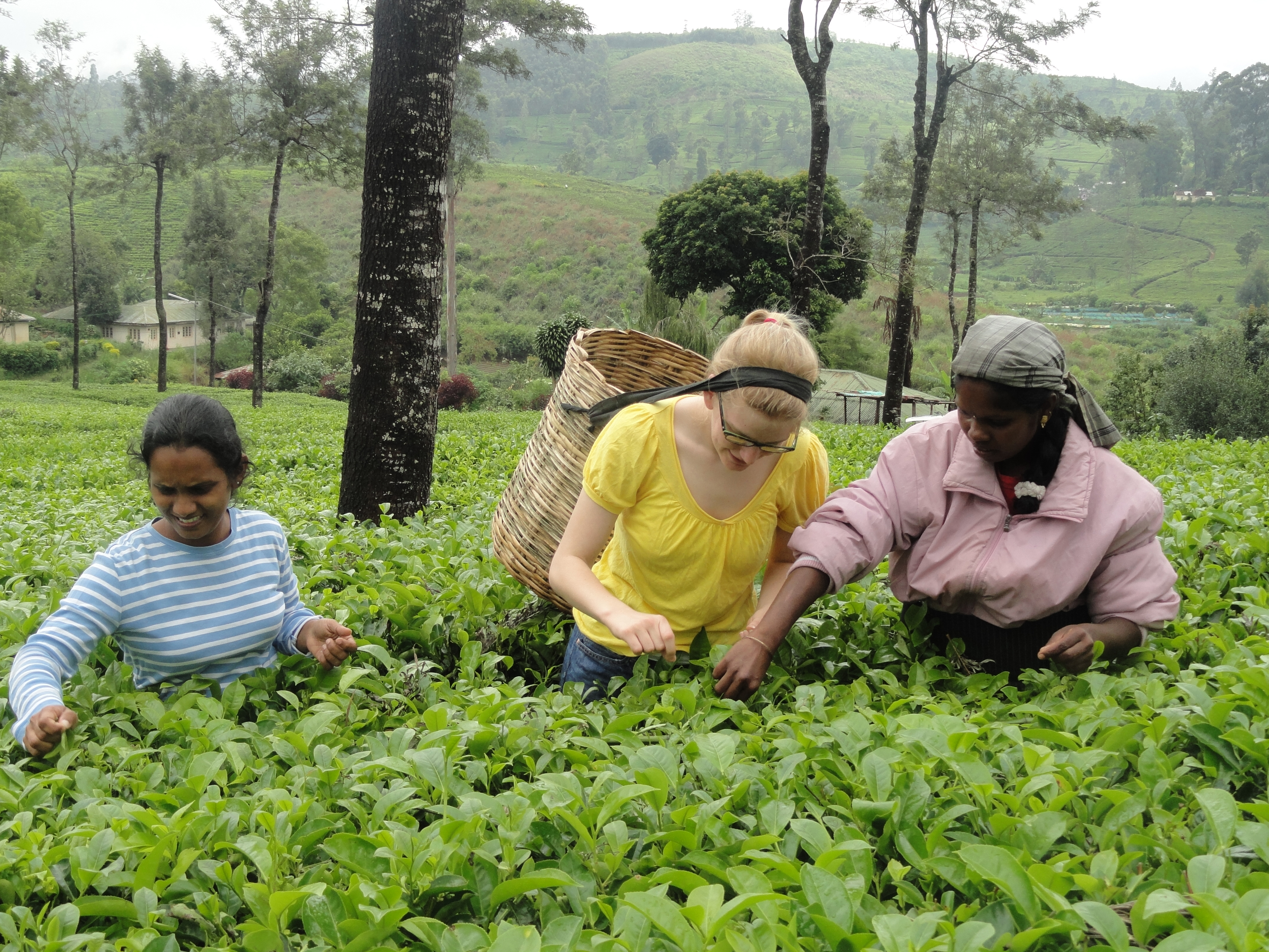 Sri-Lanka-Student-Study-Abroad