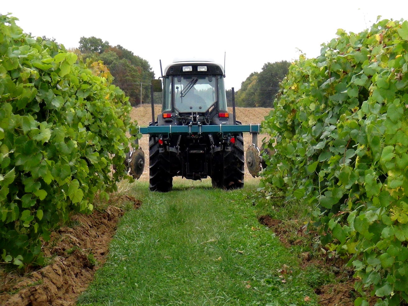 Hilling up soil