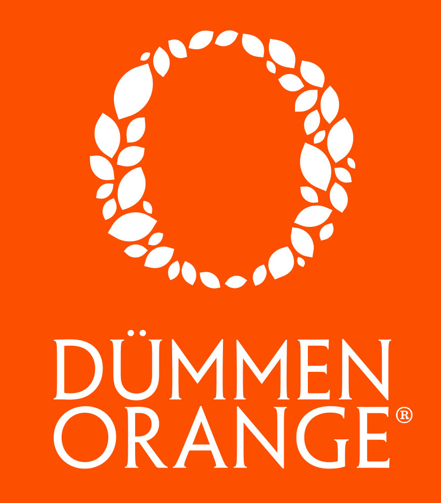 dummenorange2