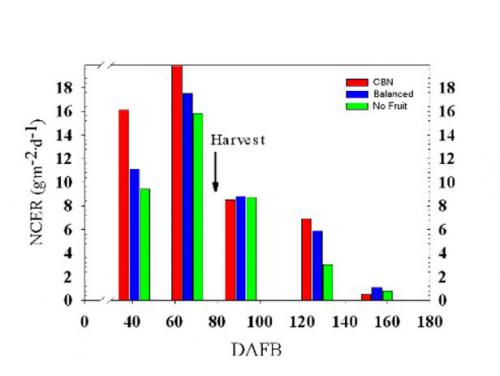 NCER for three cropping level treatments at 41, 66, 91, 127, and 155 DAFB.