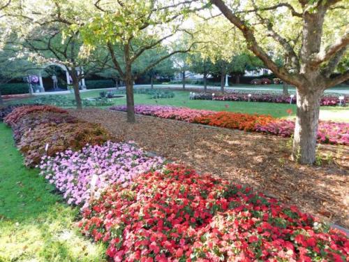 largephoto-Coleus-and-Impatiens