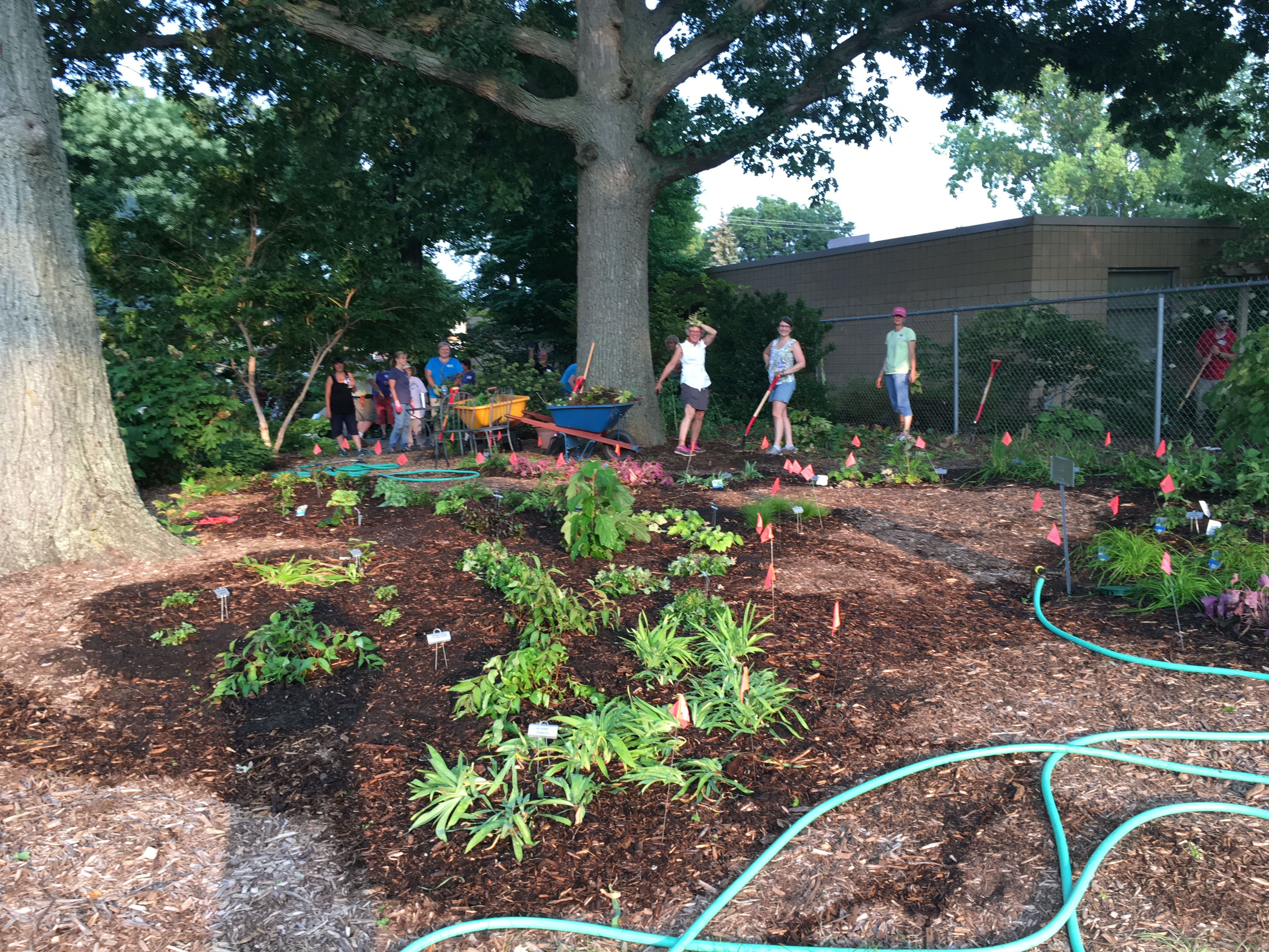 Extension Master Gardener volunteers planting flowers