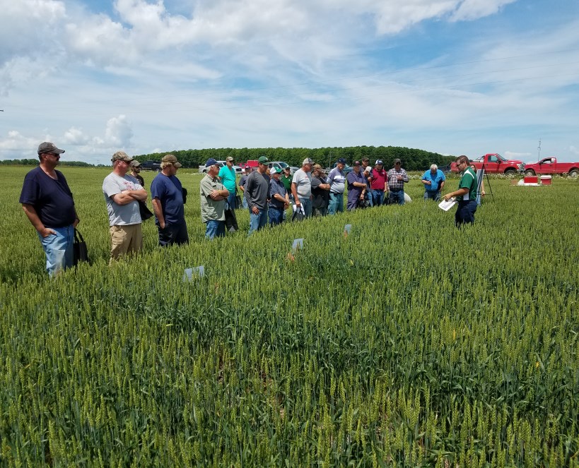 FieldCropsWeb
