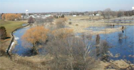 The Mount Hope wetland that is located at the corner of Mount Hope and Farm Lane Roads.
