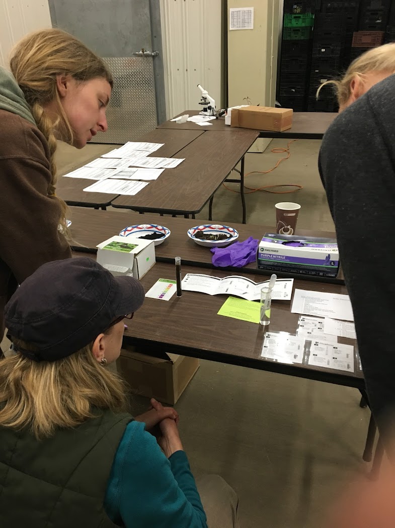 Three students observe soil in a beaker, testing for acidity