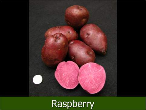 Raspberry