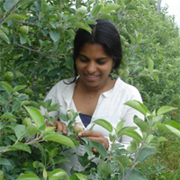 'Cholani K. Webbadde inspects leaves of some plants