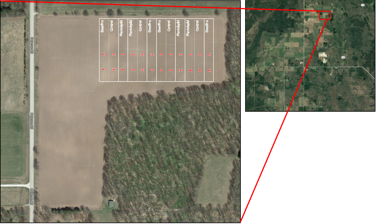 Overview of soybean plots