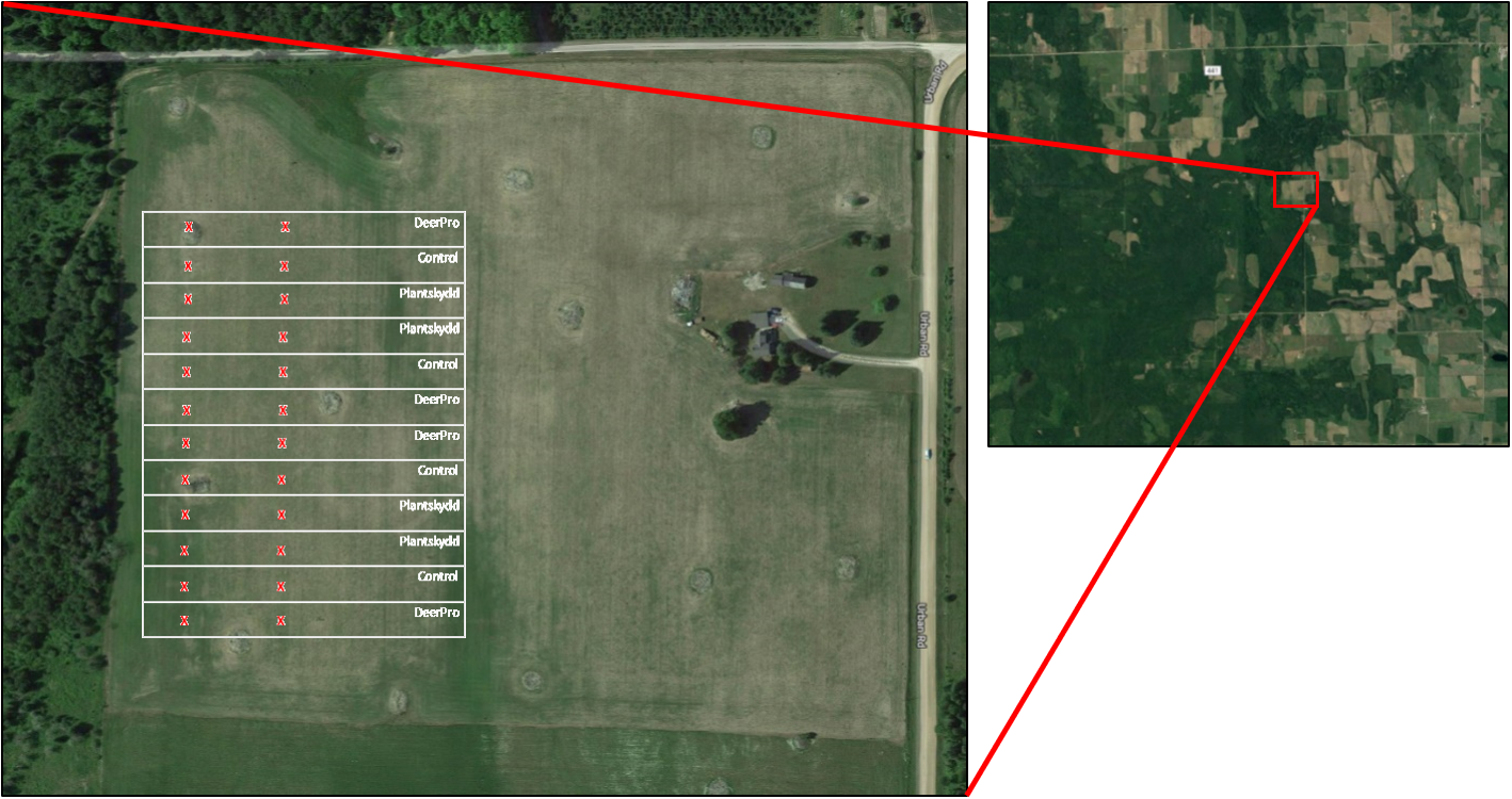 Overview of soybean plits