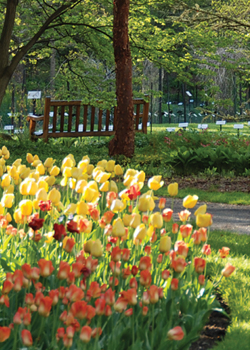 Beal botanical garden.