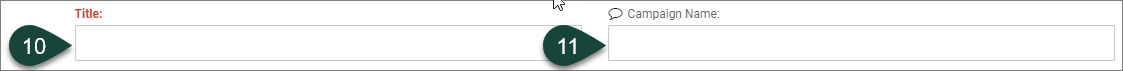 Shows the Title and Campaign Name fields.